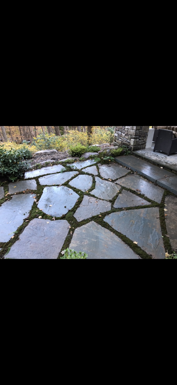 Individually fitted irregular flagstones with living moss joints